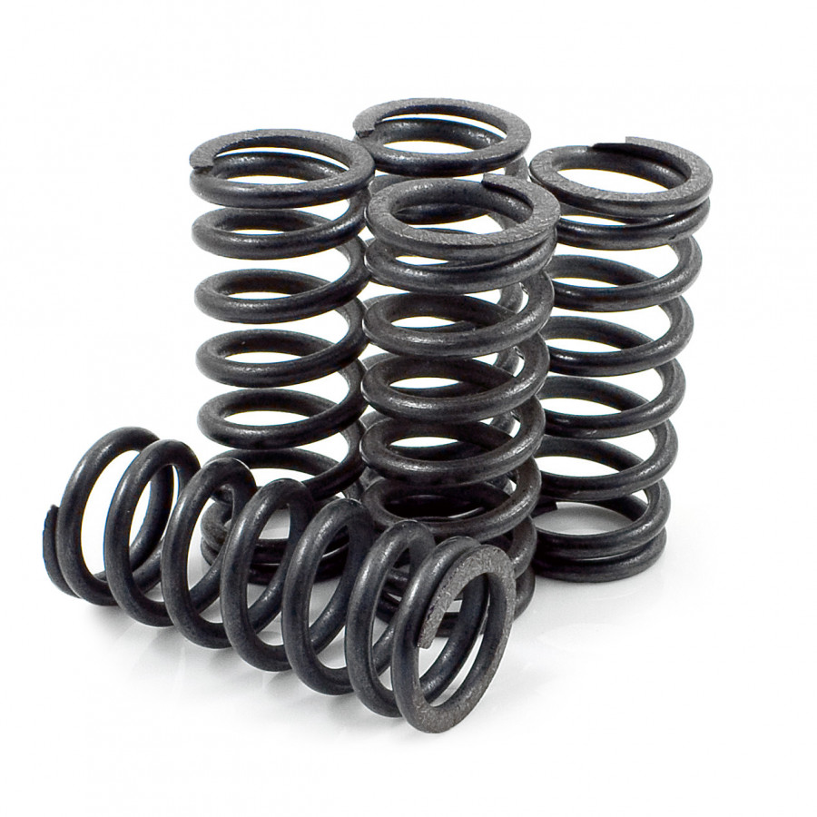 Product Image for DP Brakes Kopplingsfjädrar