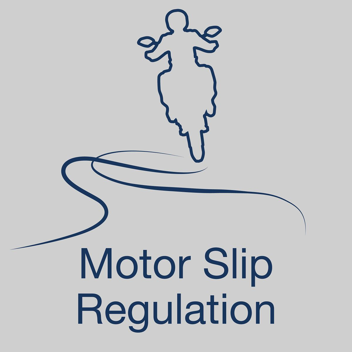 Product Image for Husqvarna Motor slip regulation (MSR)