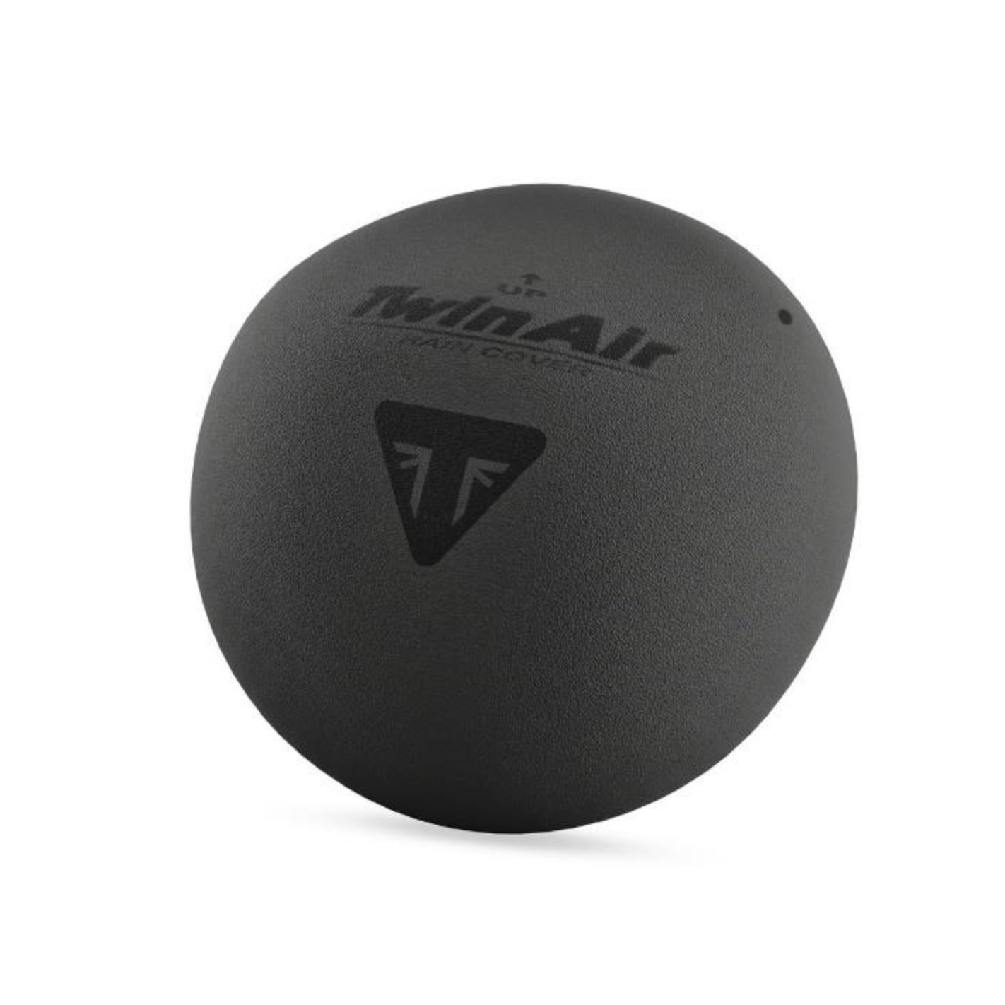 Product Image for Triumph Luftfilter Regnskydd