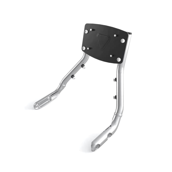 Product Image for Triumph Ryggstöd för Passagerare